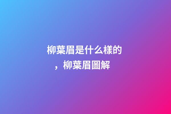 柳葉眉是什么樣的，柳葉眉圖解